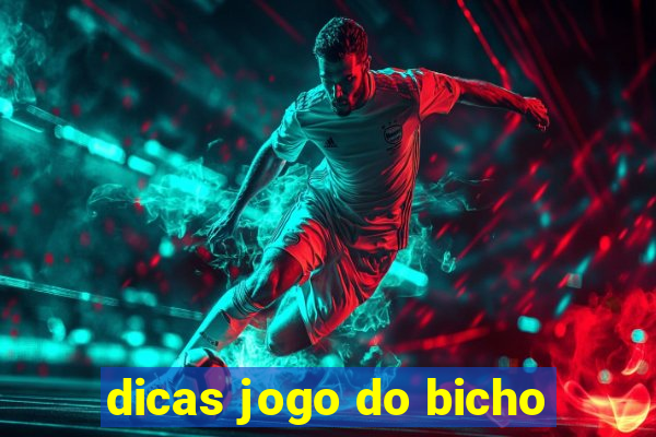 dicas jogo do bicho